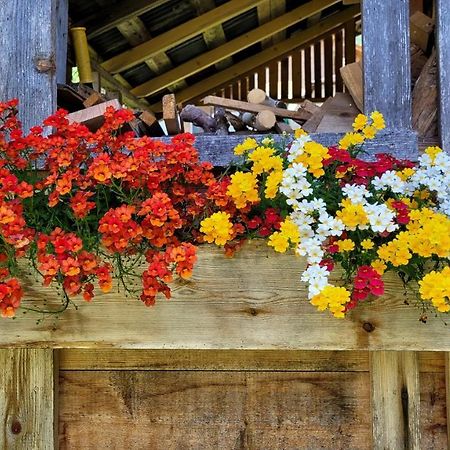 La Gerla Casa Vacanze Dolomiti Perarolo di Cadore Kültér fotó