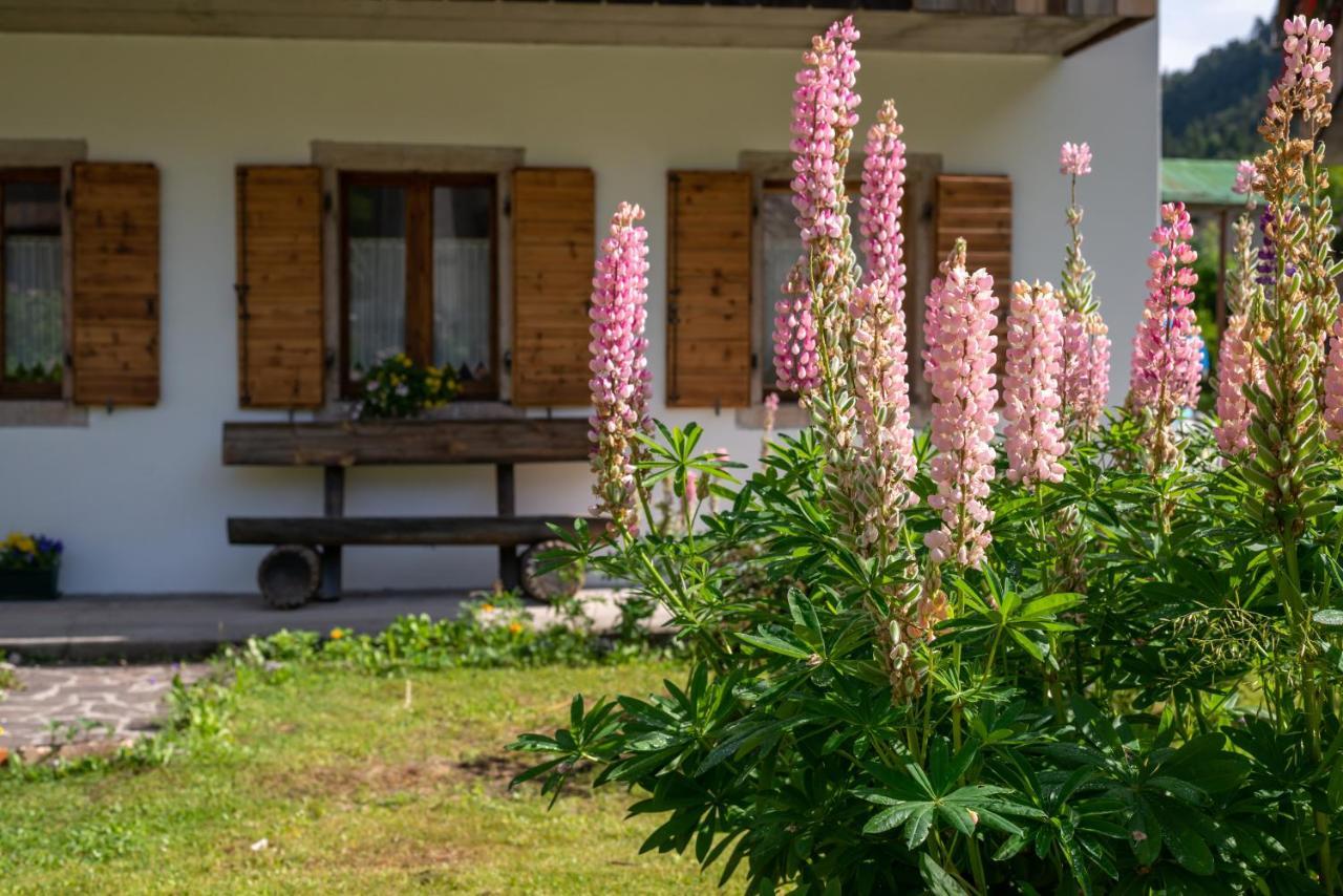 La Gerla Casa Vacanze Dolomiti Perarolo di Cadore Kültér fotó